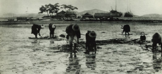 干拓前の遠石島（干拓地中央部）付近