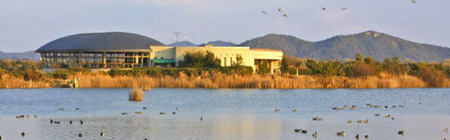 新光産業きらら浜自然観察公園