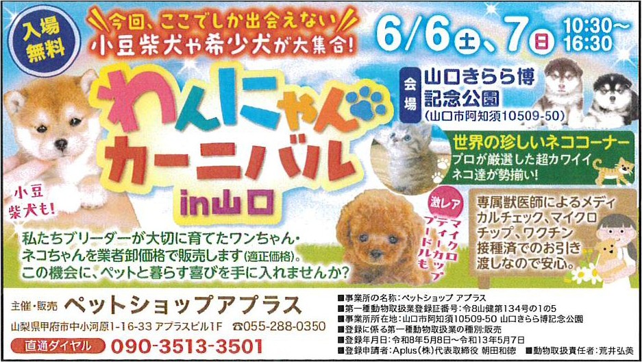わんにゃんカーニバル（6/6～7）