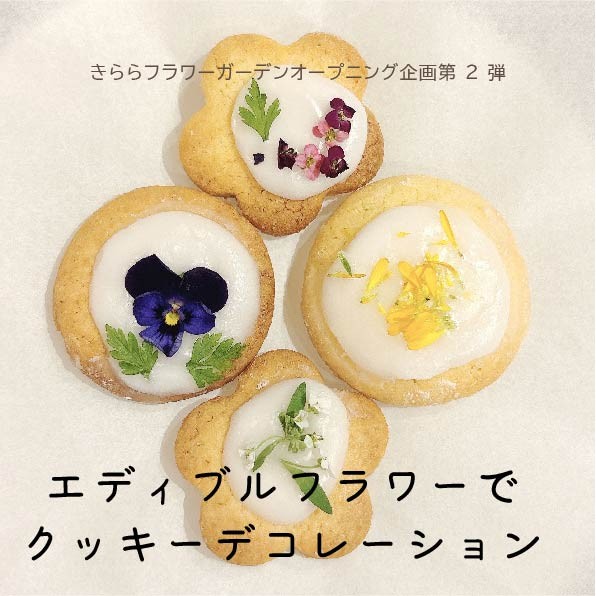 エディブルフラワーでクッキーデコレーション（12/20）